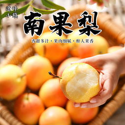 南国梨香飘千里 鞍山特产的新鲜馈赠
