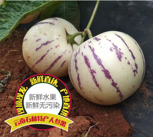 当季至鲜 云南黑钻蜜芒5斤装的舌尖礼赞